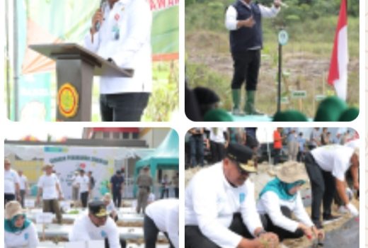 Bangkitkan Pertanian dan Pariwisata, Dirjen Bina Adwil Soroti Masa Depan Ekonomi Babel