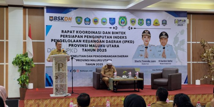 BSKDN Kemendagri Soroti Keterkaitan Pengelolaan Keuangan dan Kualitas Layanan Publik