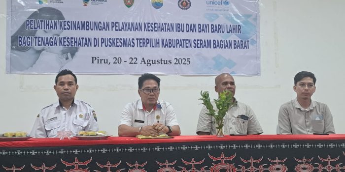 Kegiatan Pelatihan Kesinambungan Pelayanan Kesehatan Ibu dan Bayi Baru Lahir