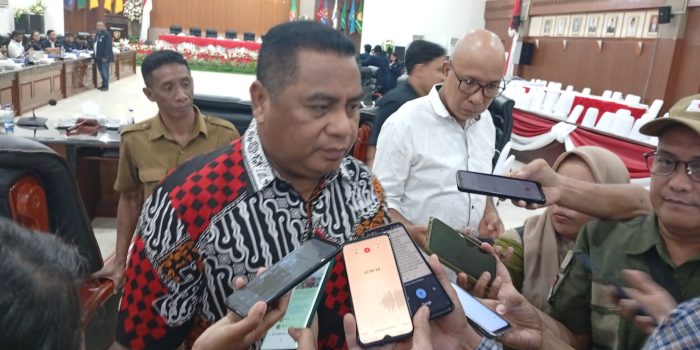 Ketua DPD PDIP Maluku: Tidak Ada Pergantian, Setelah Mercy Duduk di DPP