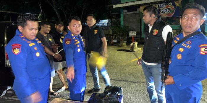 Polisi Airud Gagalkan Pengiriman 50 Ribu Benih Lobster Ilegal di Cianjur, Negara Berpotensi Rugi Rp7,5 Miliar*