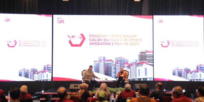 Sinergi Ditjen Bina Keuangan Daerah, OJK dan TPKAD Dorong Perekonomian Daerah