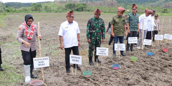 Penanaman Jagung, Kapolres Buru Tegaskan Sinergi Lintas Sektor Wujudkan Ketahanan Pangan