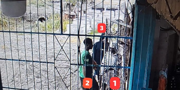 Satgas Ops Damai Cartenz Selidiki Kasus Penikaman Warga Pendatang di Dekai, Yahukimo
