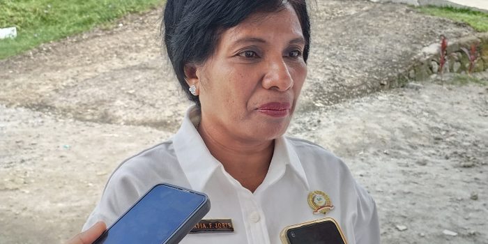 SMA 40 Ambon Memberikan Pendidikan Yang Berkualitas Dengan Logo Tumbuh Bersama, Cerdas Bersama 
