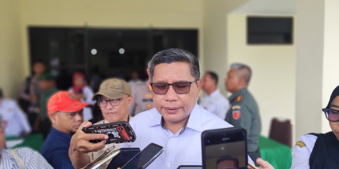 Ambon Perkuat Ketahanan Pangan Meski Lahan Terbatas, Fokus Padi Ladang dan Cabai