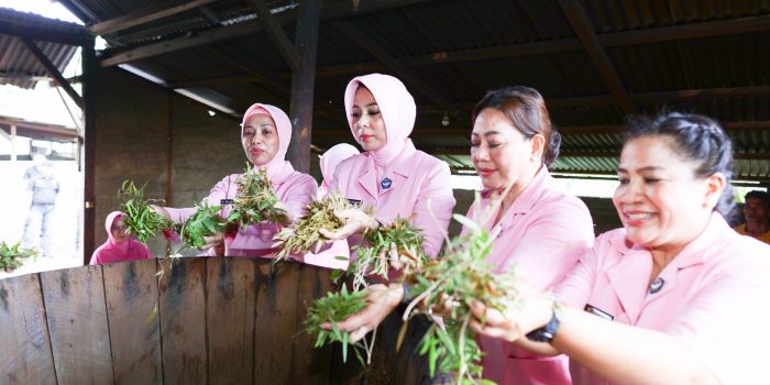 Tinjau Tempat Penyulingan Minyak Kayu Putih di Namlea, Kapolda Dorong Penguatan UMKM dan Perekonomian Masyarakat Lokal