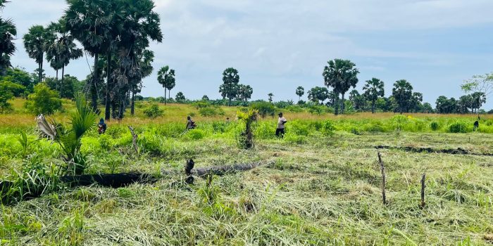 Perkuat Ketahanan Pangan Nasional, Polri Siapkan Lahan Pertanian 5 Hektare di Perbatasan Desa Selaru