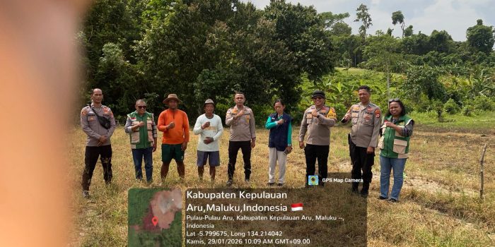 Dukung Ketahanan Pangan Nasional, Polsubsektor KPYS Dobo akan Tanam Jagung Pipil