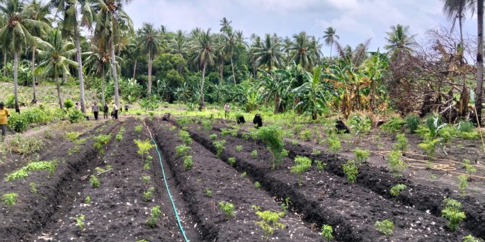 Polsek Kormomolin Siapkan Lahan Penanaman Jagung Serentak di Desa Lorwembun Tanimbar