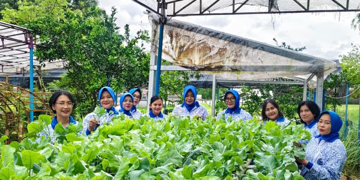 Jalasenastri Kodaeral IX Panen Sayur dan Buah, Perkuat Ketahanan Pangan