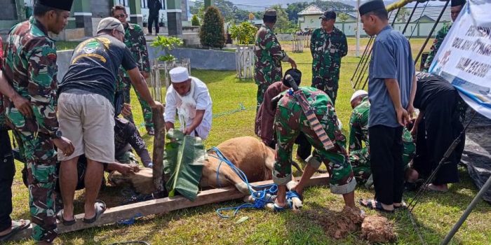 Peringati Idul Adha Kodim 1513/SBB Sembelih 2 Ekor Sapi Kurban Untuk Warga Kurang Mampu. 