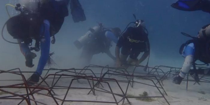 Tim Kodaeral IX dan Wanadri Laksanakan Penyelaman Konservasi Terumbu Karang dan Pembersihan Bawah Laut