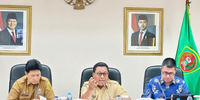 Wagub Maluku Paparkan Inovasi Perluasan Akses Keuangan pada Virtual Assessment TPAKD Award 2026